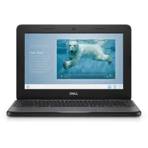 Dell Chromebook 11 3100 -  2029 Updates